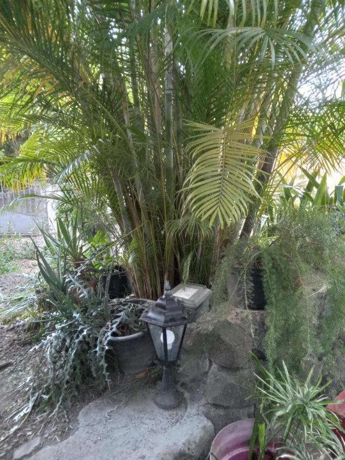 Le Jardin Saint-Leu Exterior foto
